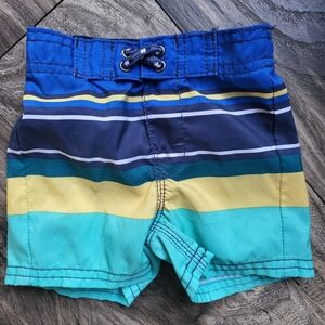Striped Blue and Green Swim Shorts